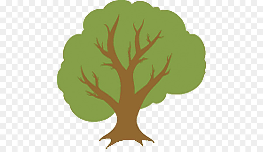 árbol Verde，Naturaleza PNG