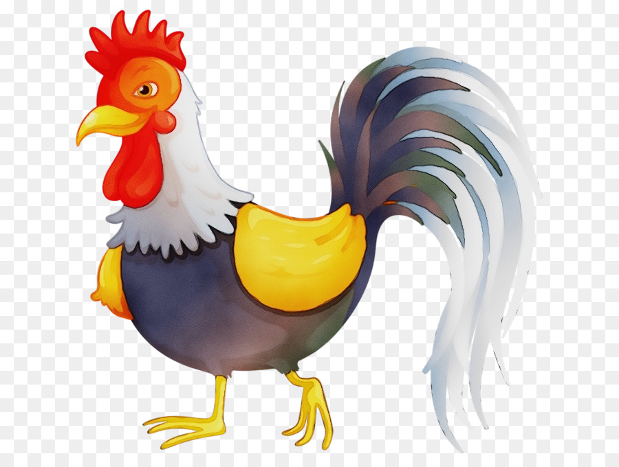 Pollo，Gallo PNG