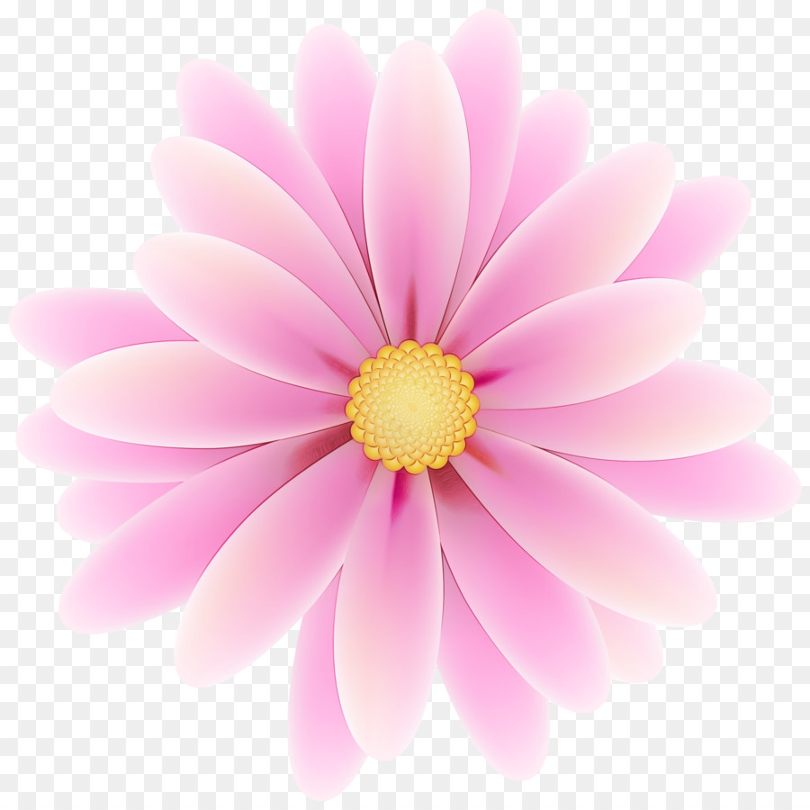 Flor，Rosa PNG