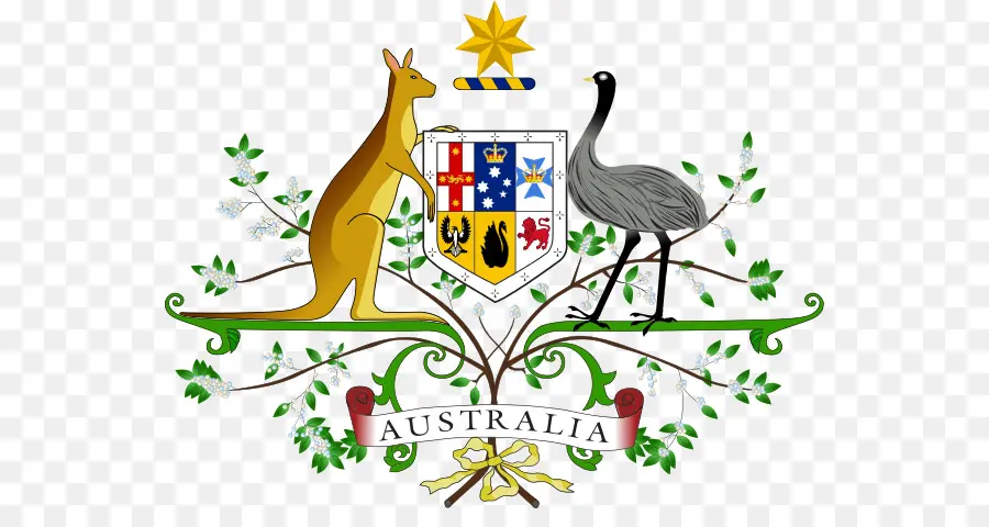 Escudo De Armas Australiano，Canguro PNG