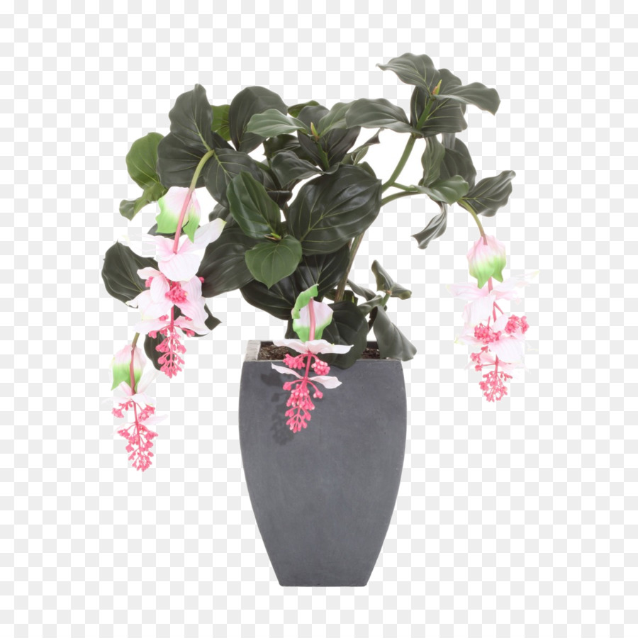 Las Flores Cortadas，Flor PNG