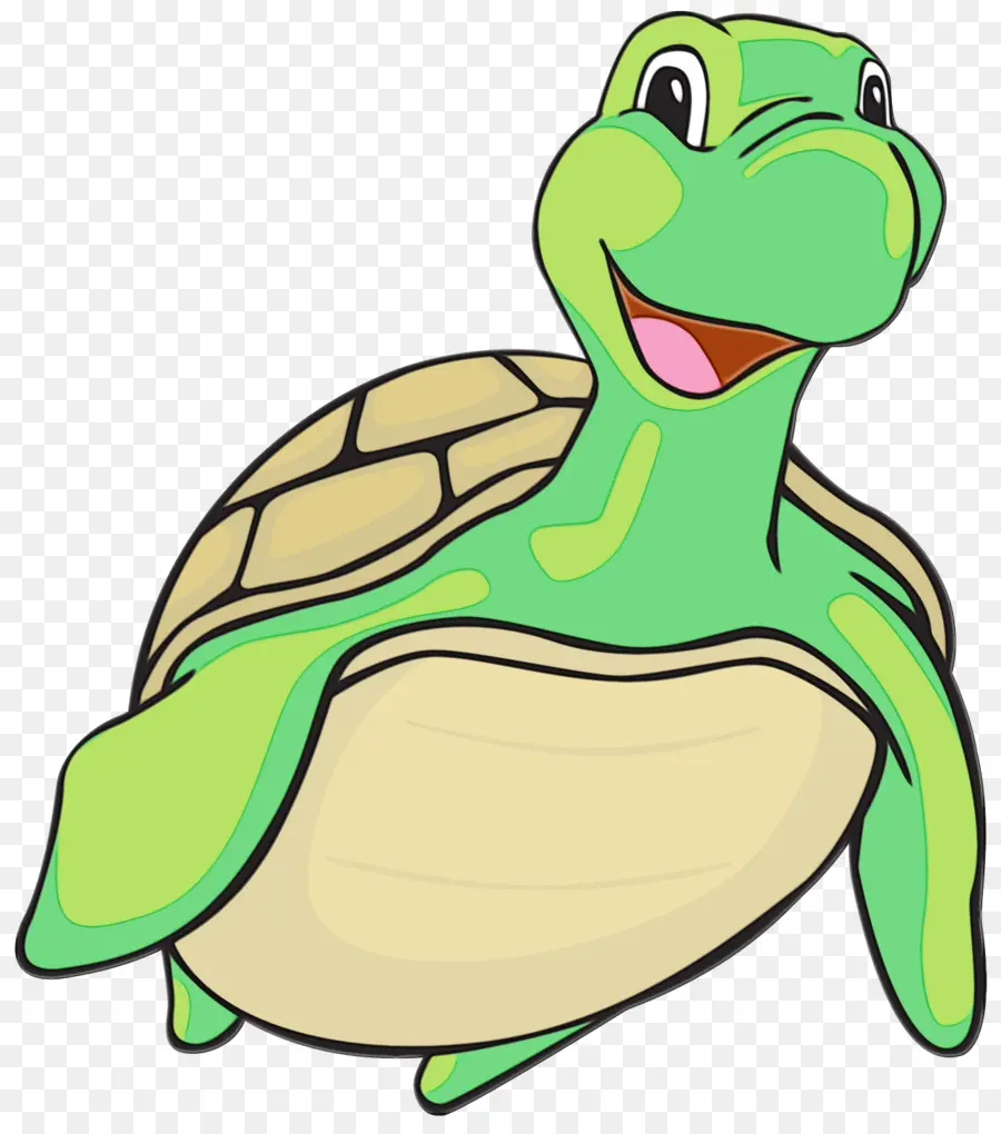 Tortuga De Dibujos Animados，Verde PNG