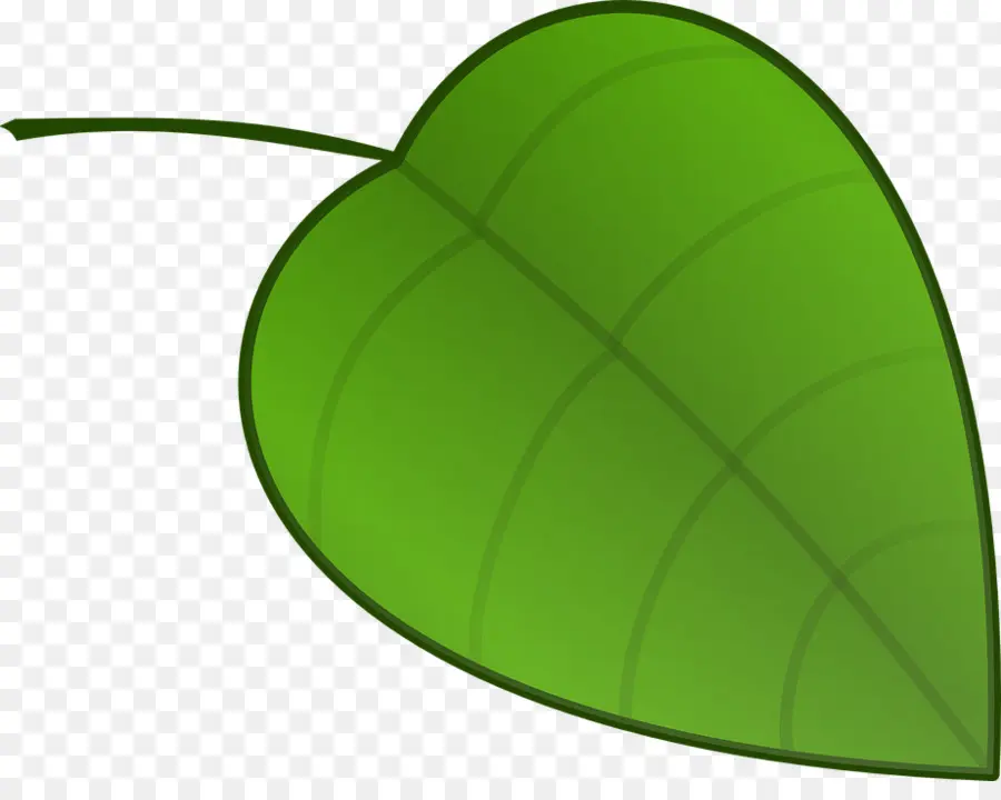 Hoja，Arce Rojo PNG