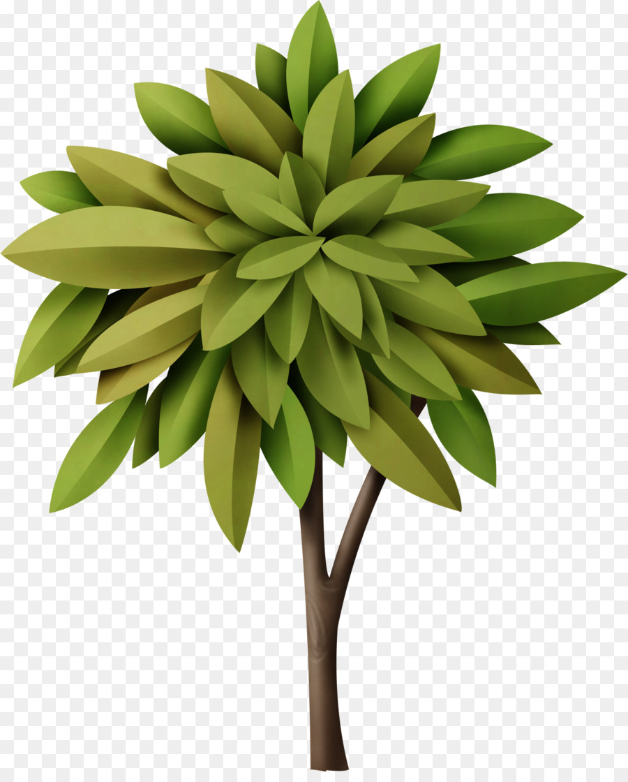 Árbol，Verde PNG