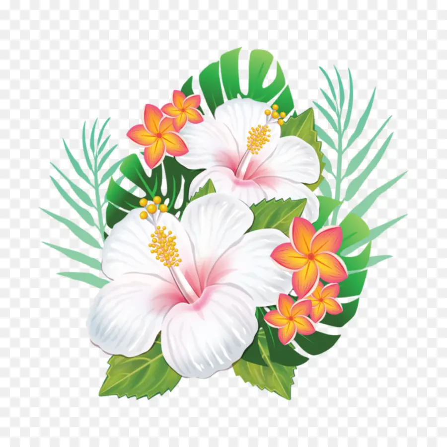 Hawai，Flor PNG