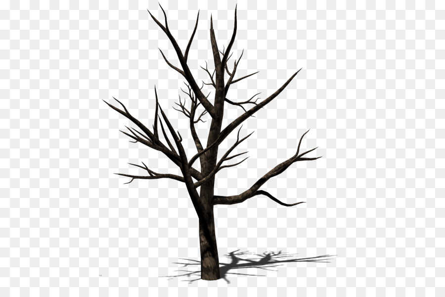 árbol Desnudo，Invierno PNG