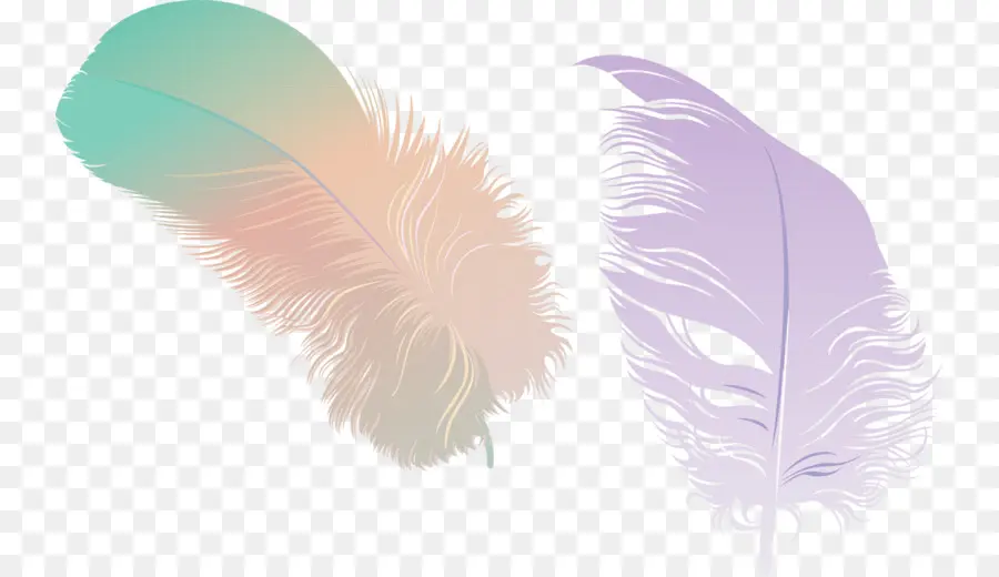 Pluma，Plumas De Colores PNG