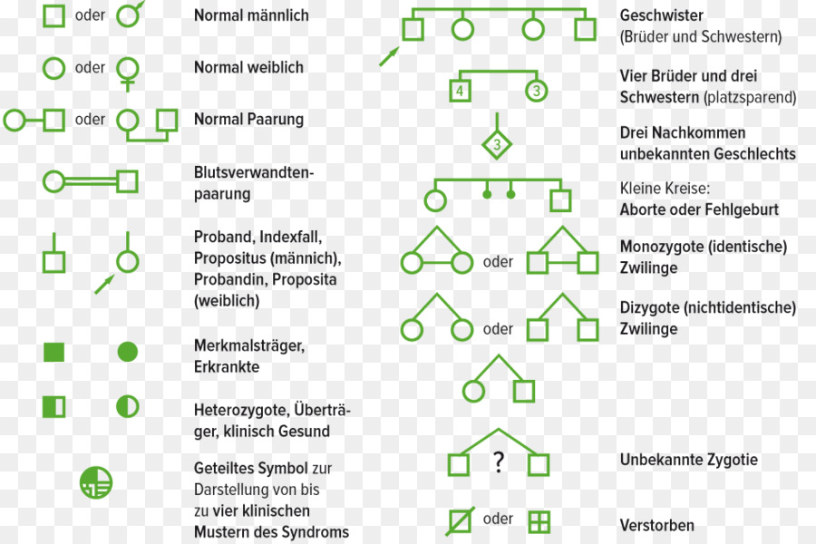 Cuadro Genealógico，Genética PNG