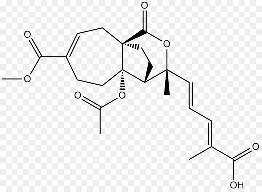 M02csf，Angulo PNG