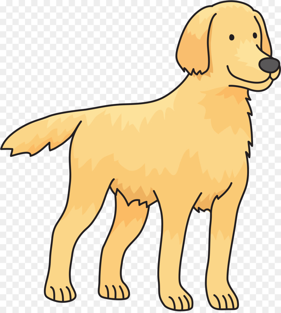 Golden Retriever，Labrador Retriever PNG