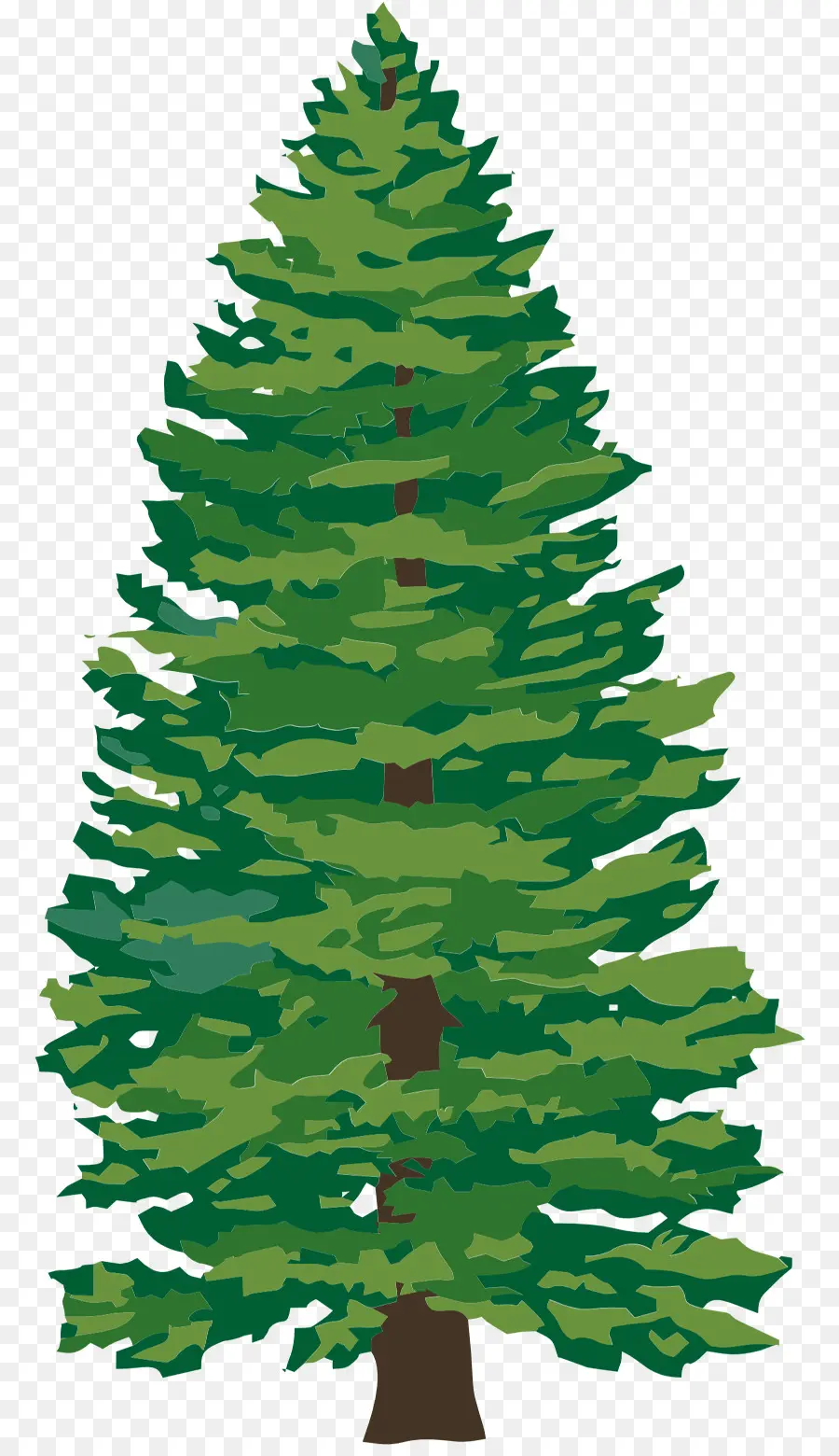 árbol De Navidad，Árbol PNG