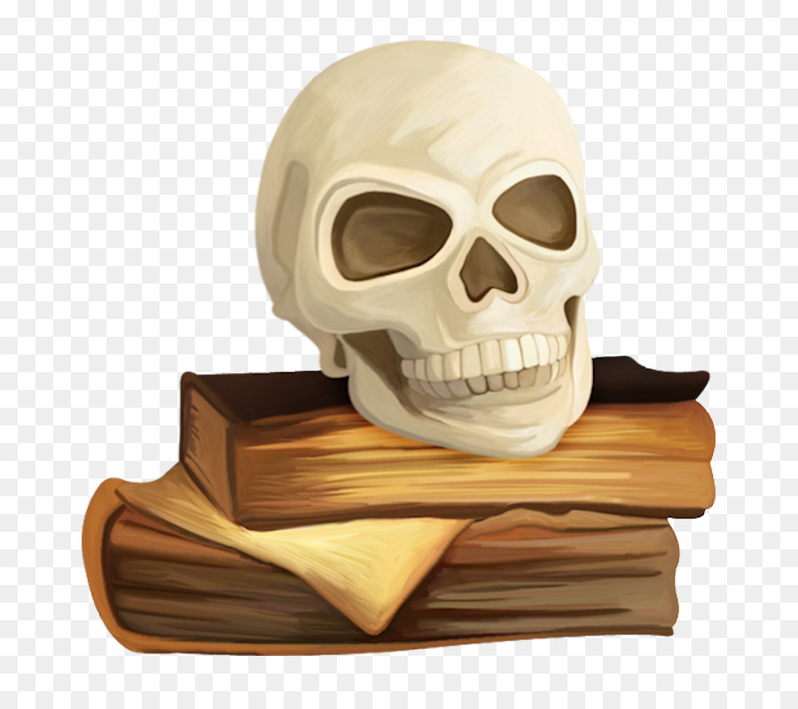 Calavera Y Libros，Libros PNG