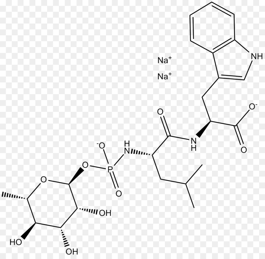 M02csf，Negro Blanco M PNG