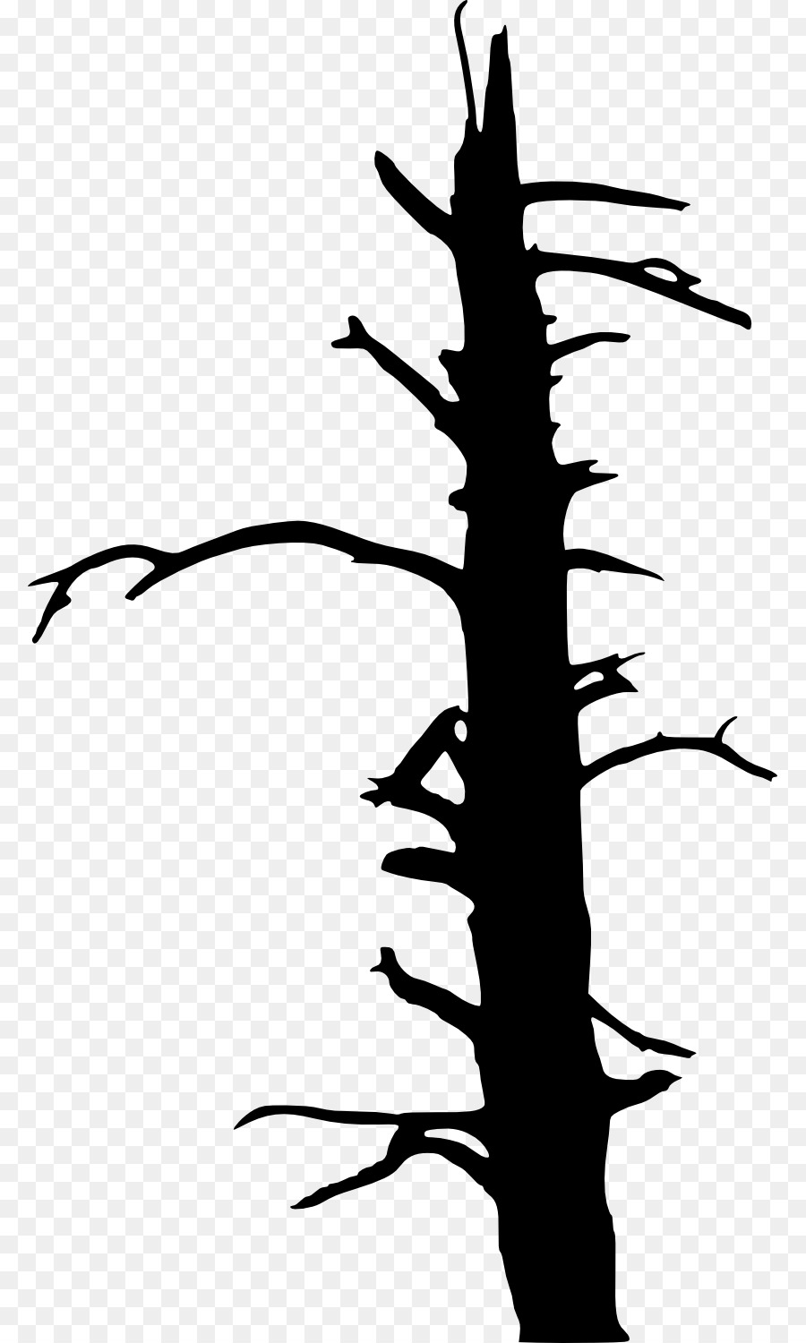 Árbol，Dibujo PNG