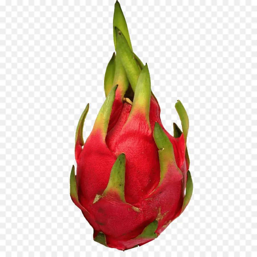 Jugo，La Pitaya PNG