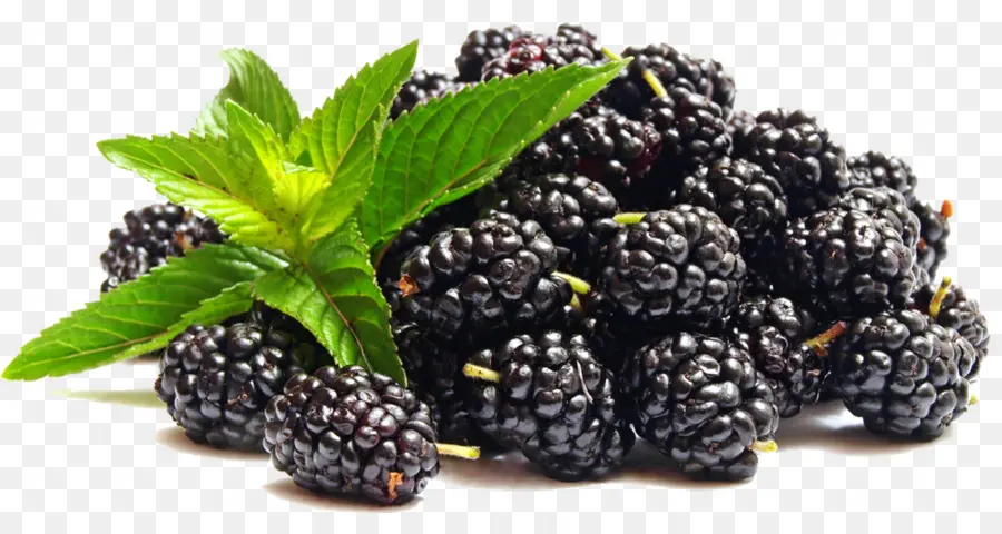 Blackberry，Jugo PNG