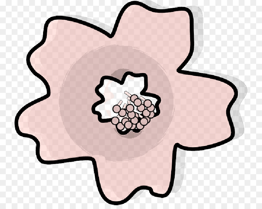 De Los Cerezos En Flor，Dibujo PNG