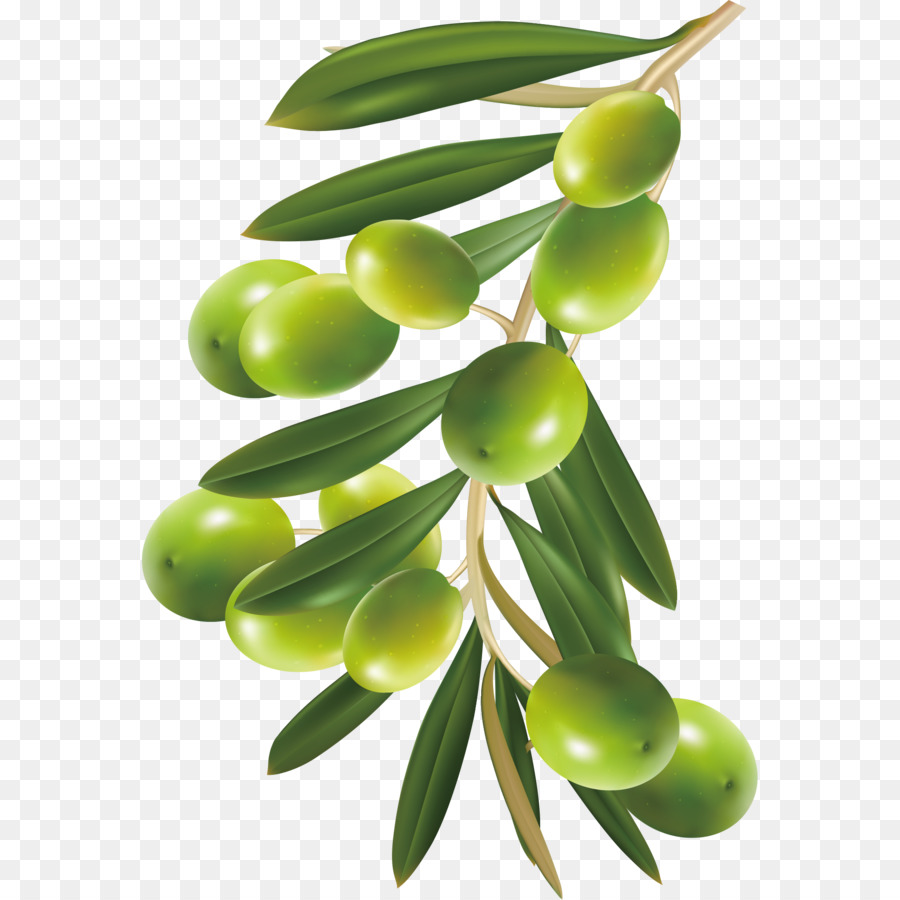 Aceitunas Verdes，Rama PNG