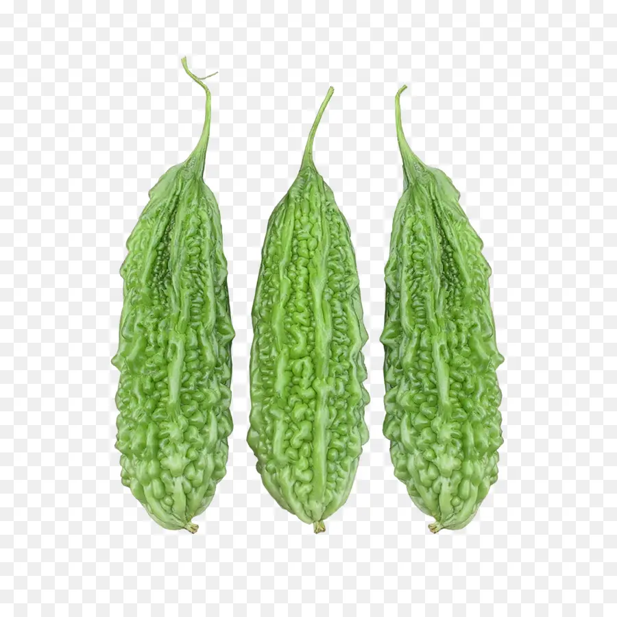 El Melón Amargo，La Fruta PNG