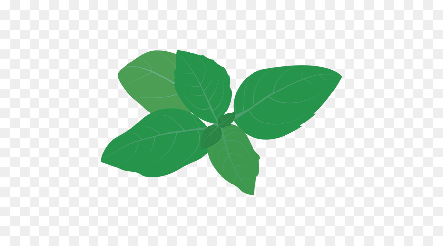 Hojas Verdes，Planta PNG