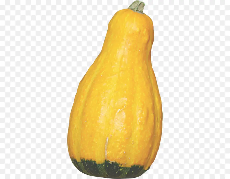 Calabaza，Naranja PNG