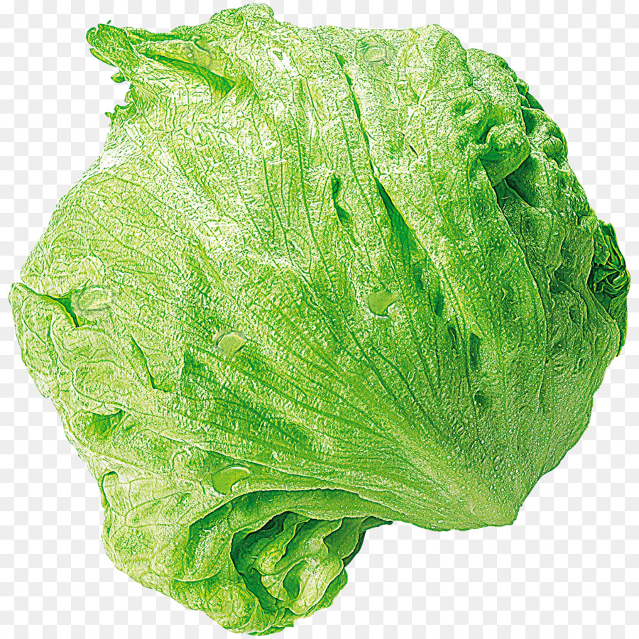 Lechuga Romana，Iceberg Lechuga PNG