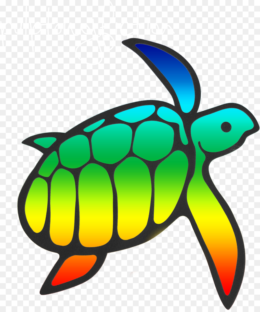 Tortuga De Mar，Tortuga PNG