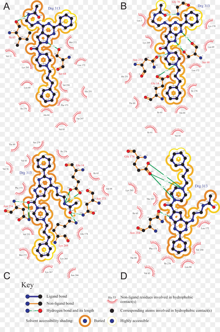 Diseño Gráfico，La Glucosa Oxidasa PNG