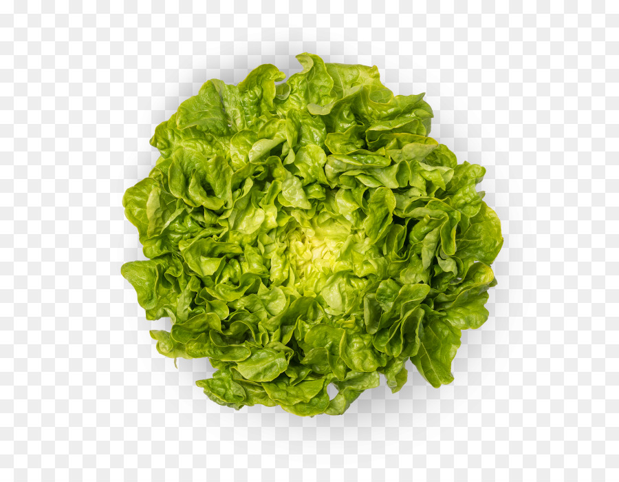 Lechuga Romana，Bio Suisse PNG