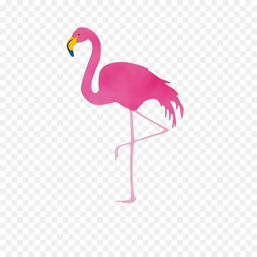 Flamingo，Royaltyfree PNG