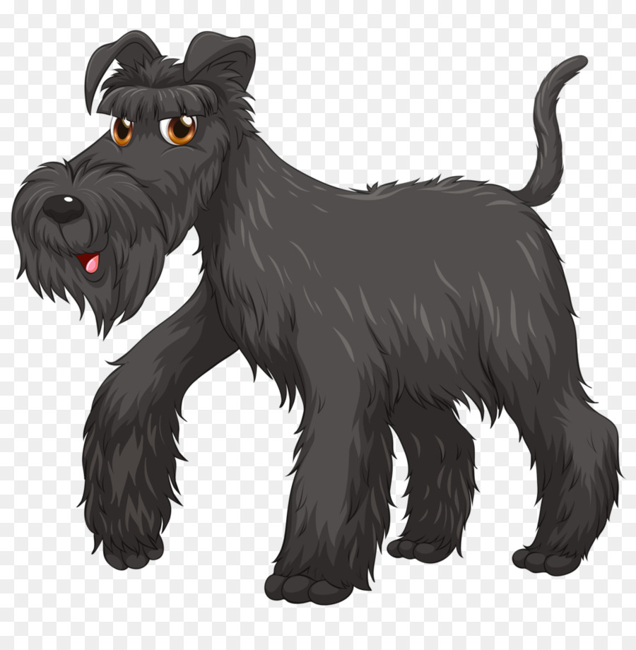 Schnauzer Miniatura，Schnauzer Estándar PNG