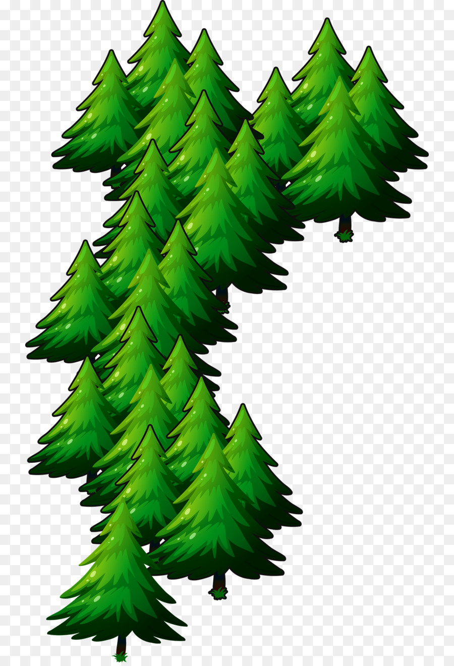 Cedro Deodar，árbol De Navidad PNG