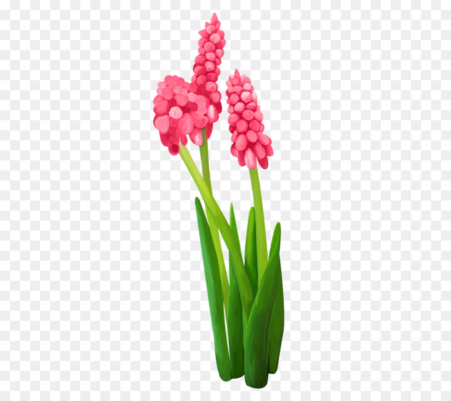 Flores，Púrpura PNG