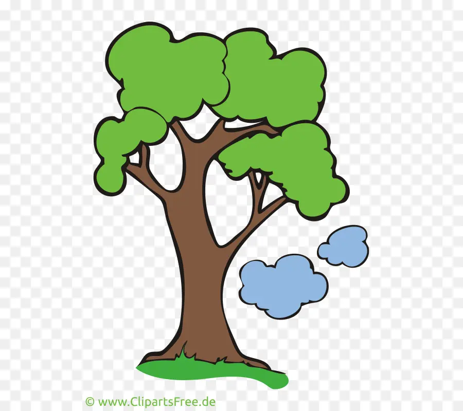 Árbol，Verde PNG