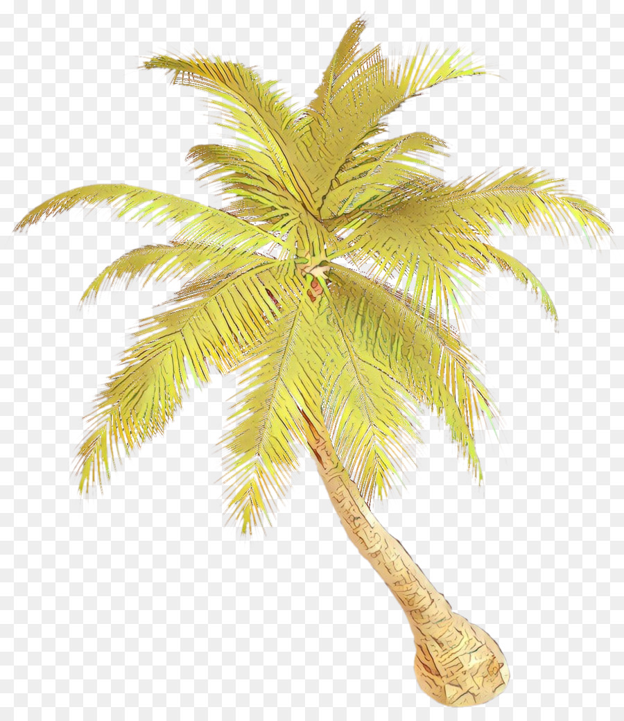 Palmera，Coco PNG