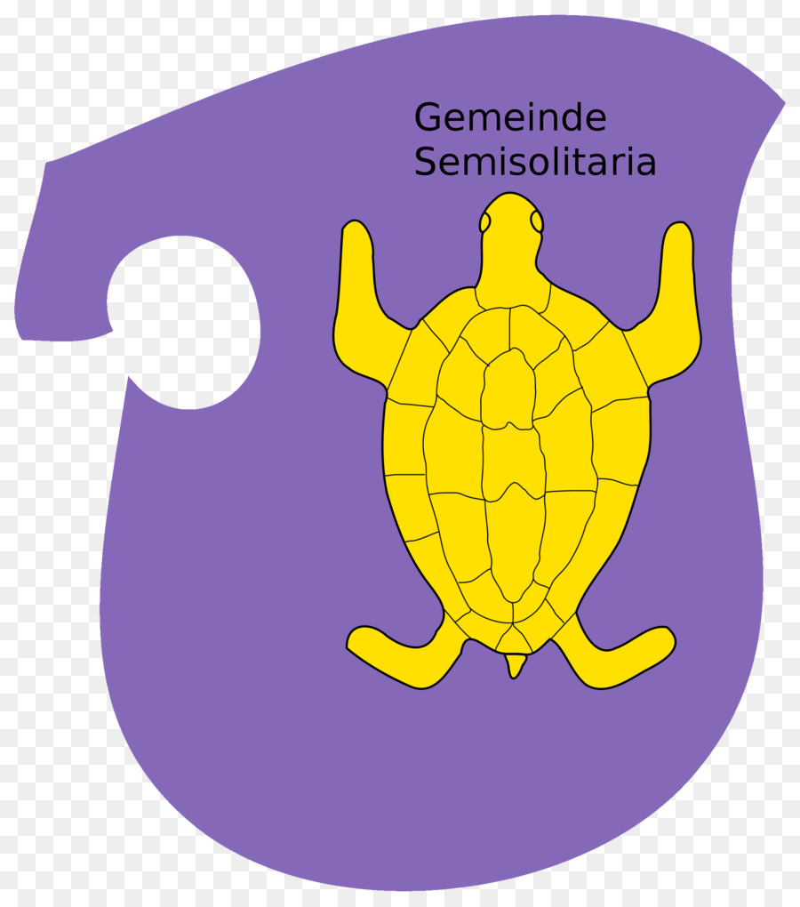 Tortuga De Mar，Tortuga M PNG