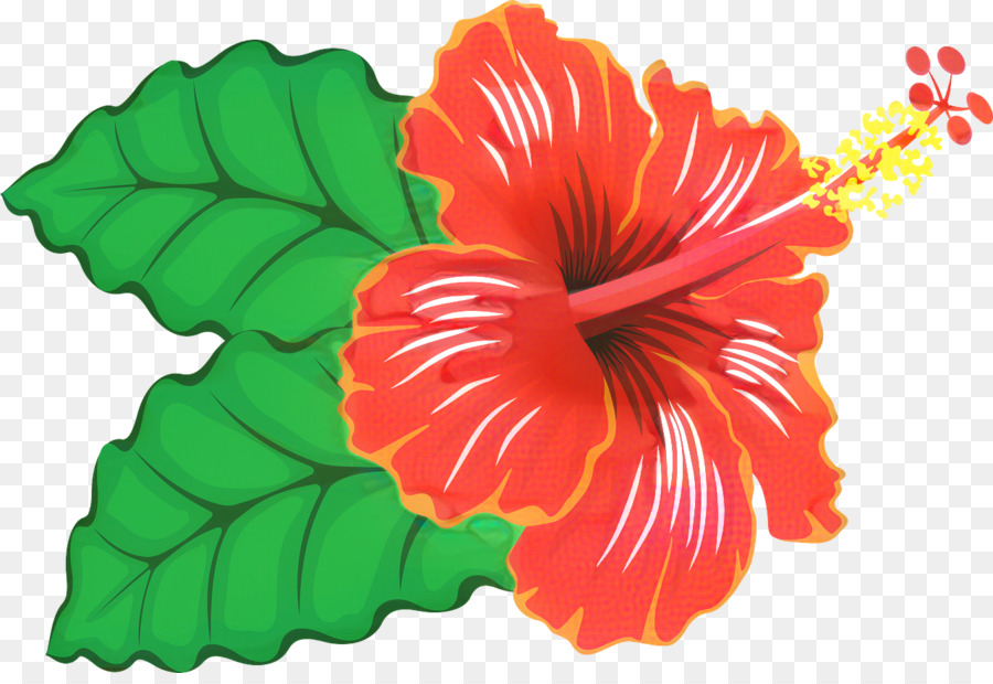 Hibisco Rojo，Hojas Verdes PNG