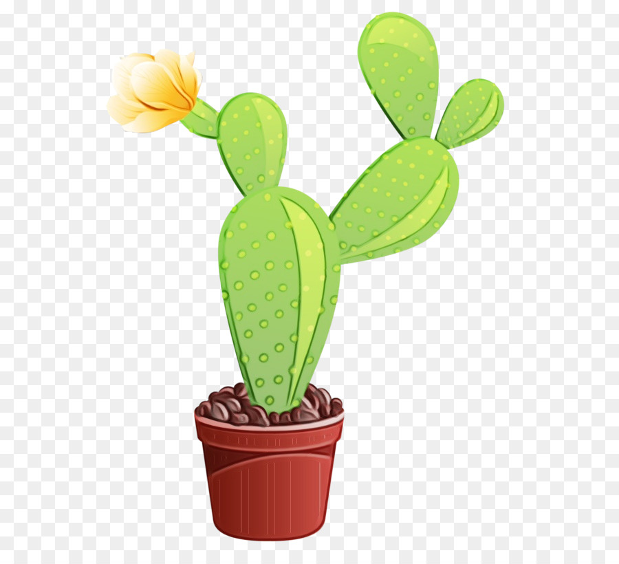 Cactus，Tallo De La Planta PNG