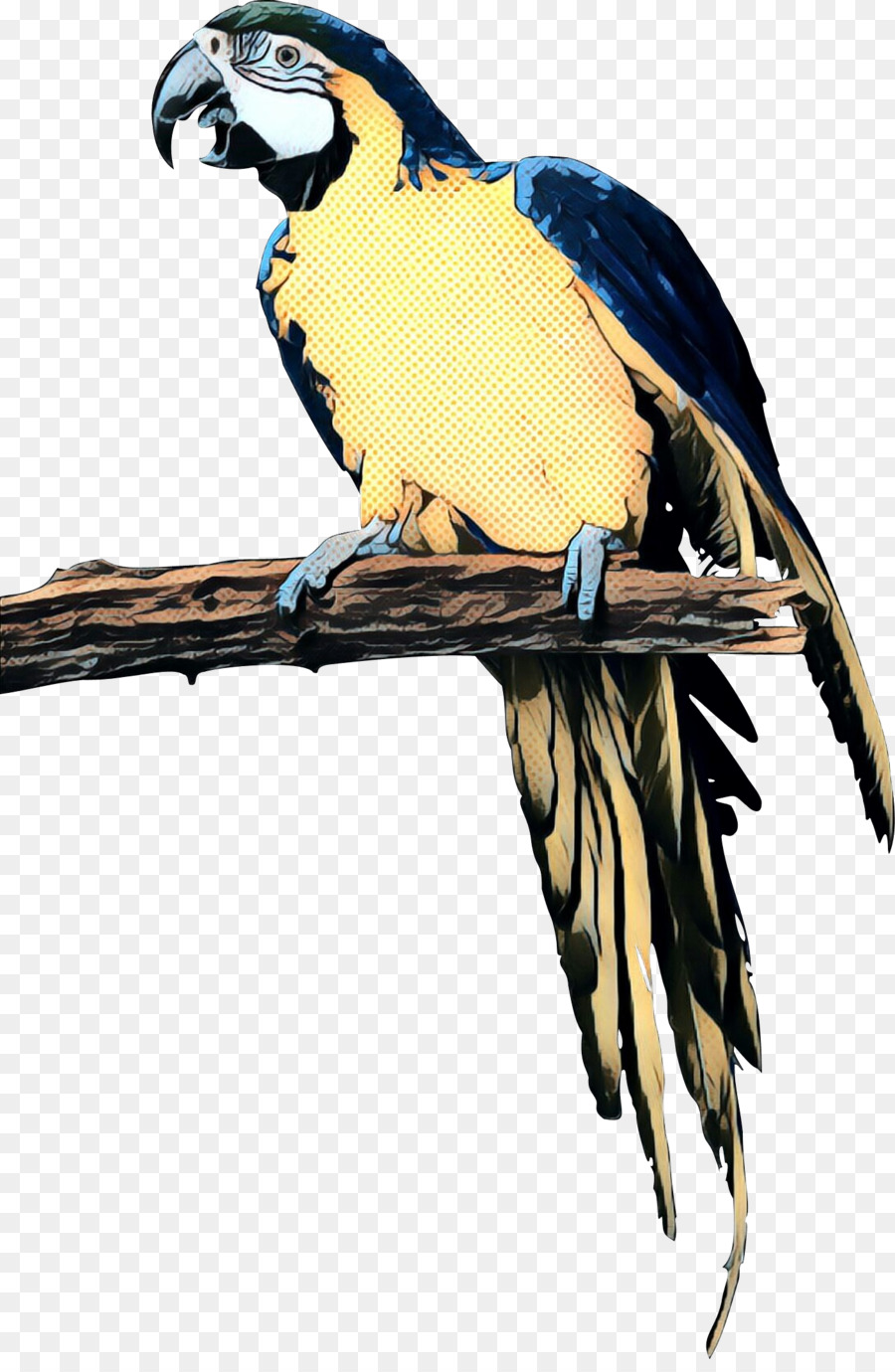 Loro，Perro PNG