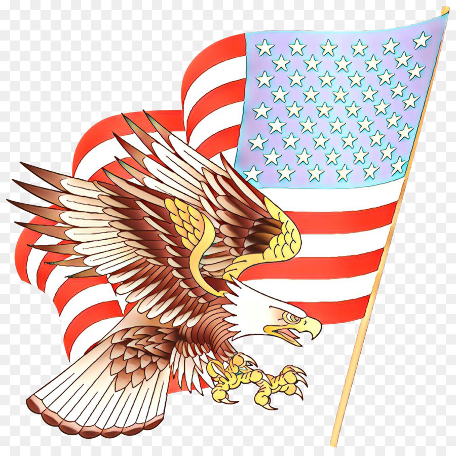 águila Calva，Estados Unidos PNG