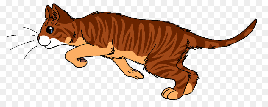 Gato，En La Naturaleza PNG