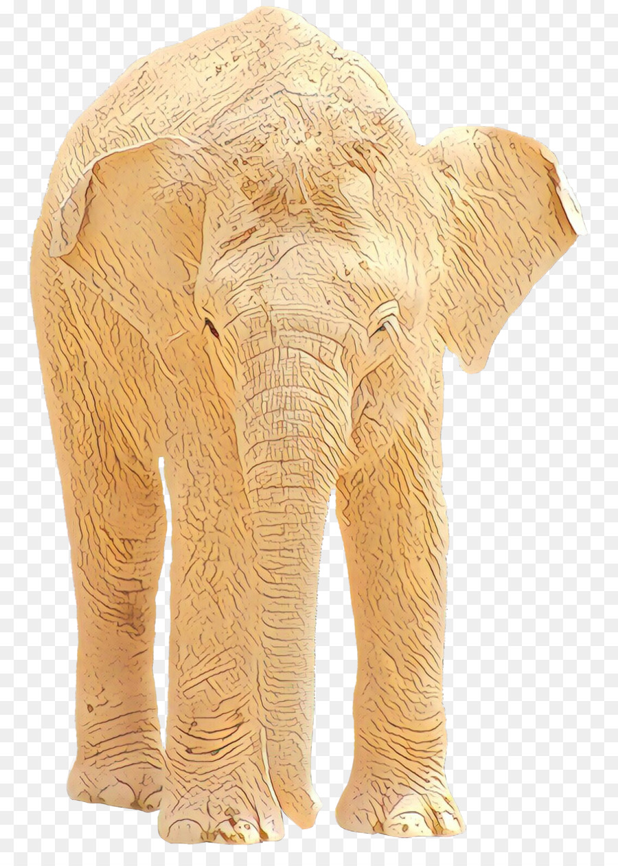 Elefante Indio，Elefante PNG