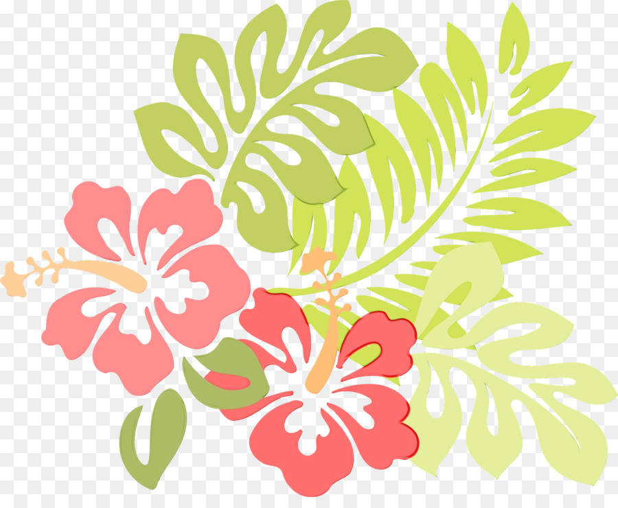 Flor，Shoeblackplant PNG