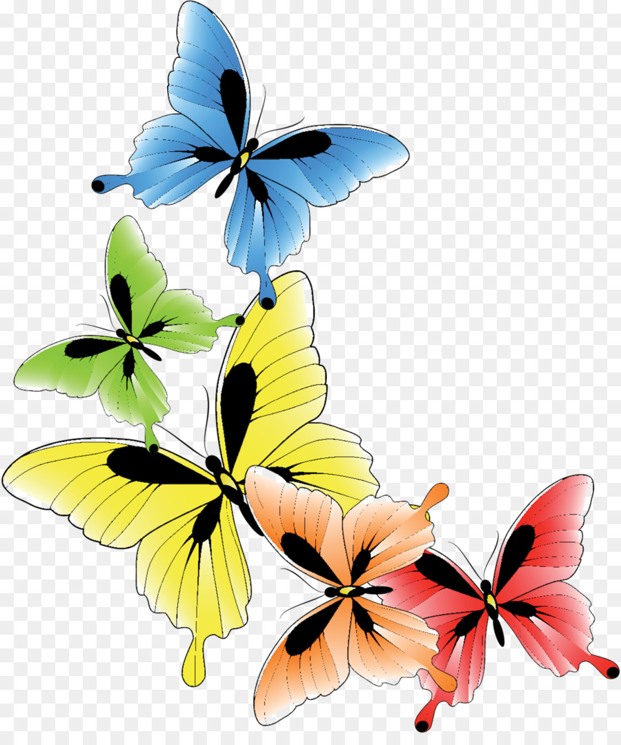 Mariposa，Descargar PNG