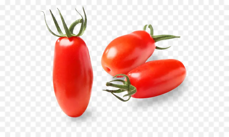 Tomate Ciruela，Bush Tomate PNG