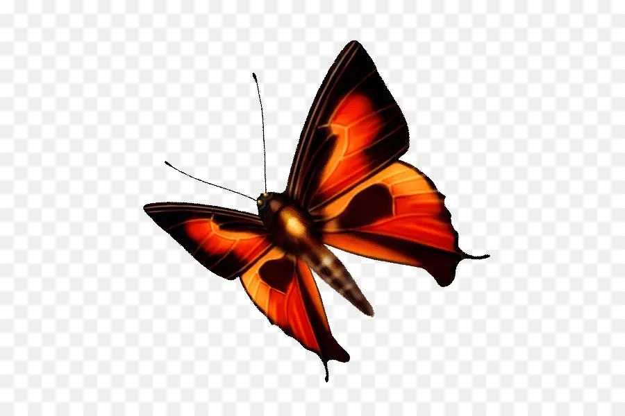 Mariposa，Blog PNG