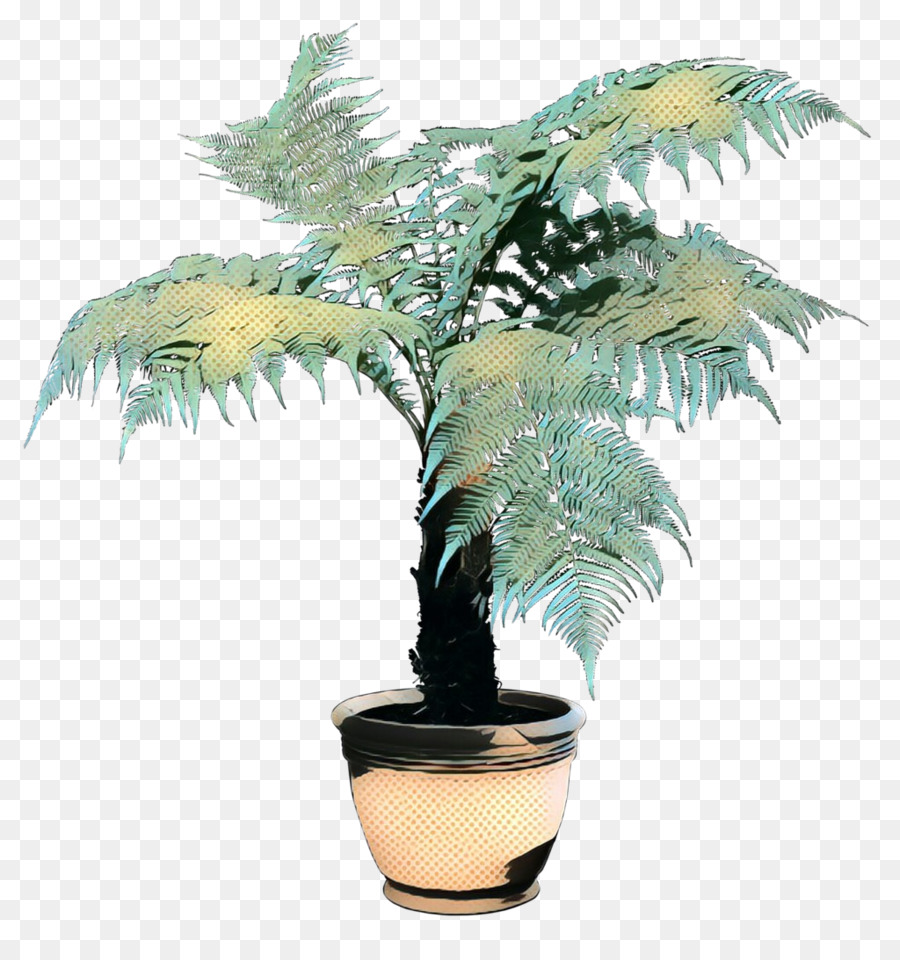 Las Plantas，Planta De Interior PNG