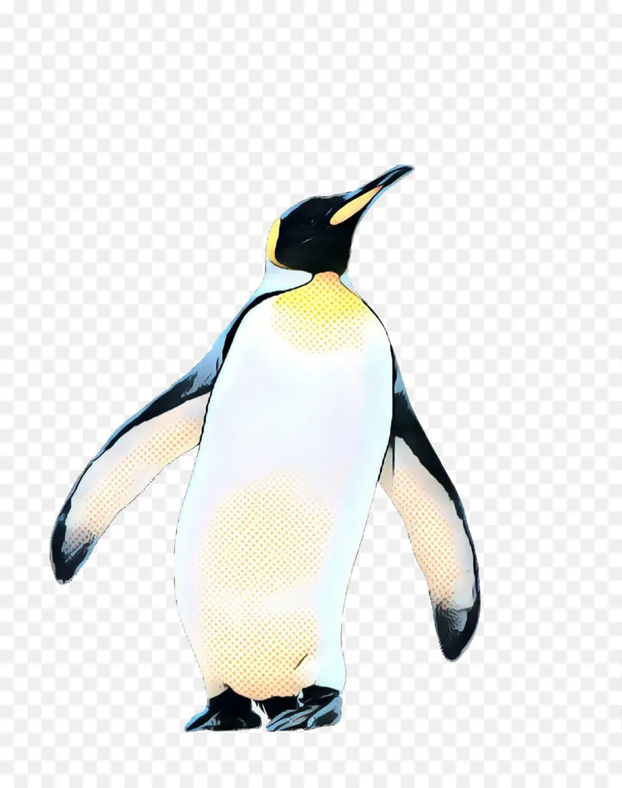 Pingüino，Una Fotografía De Stock PNG
