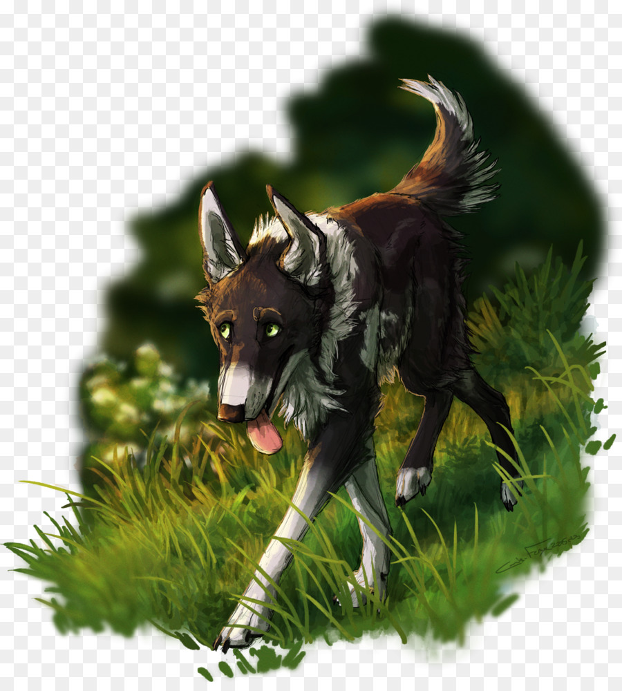 Lobo，Canis Ferox PNG