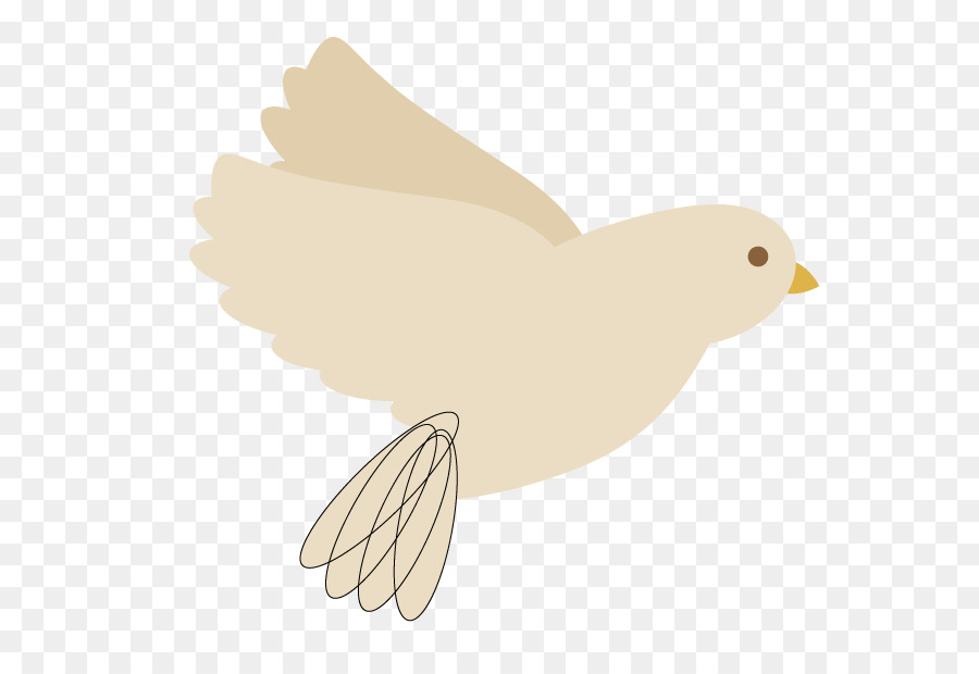 Pato，Aves PNG